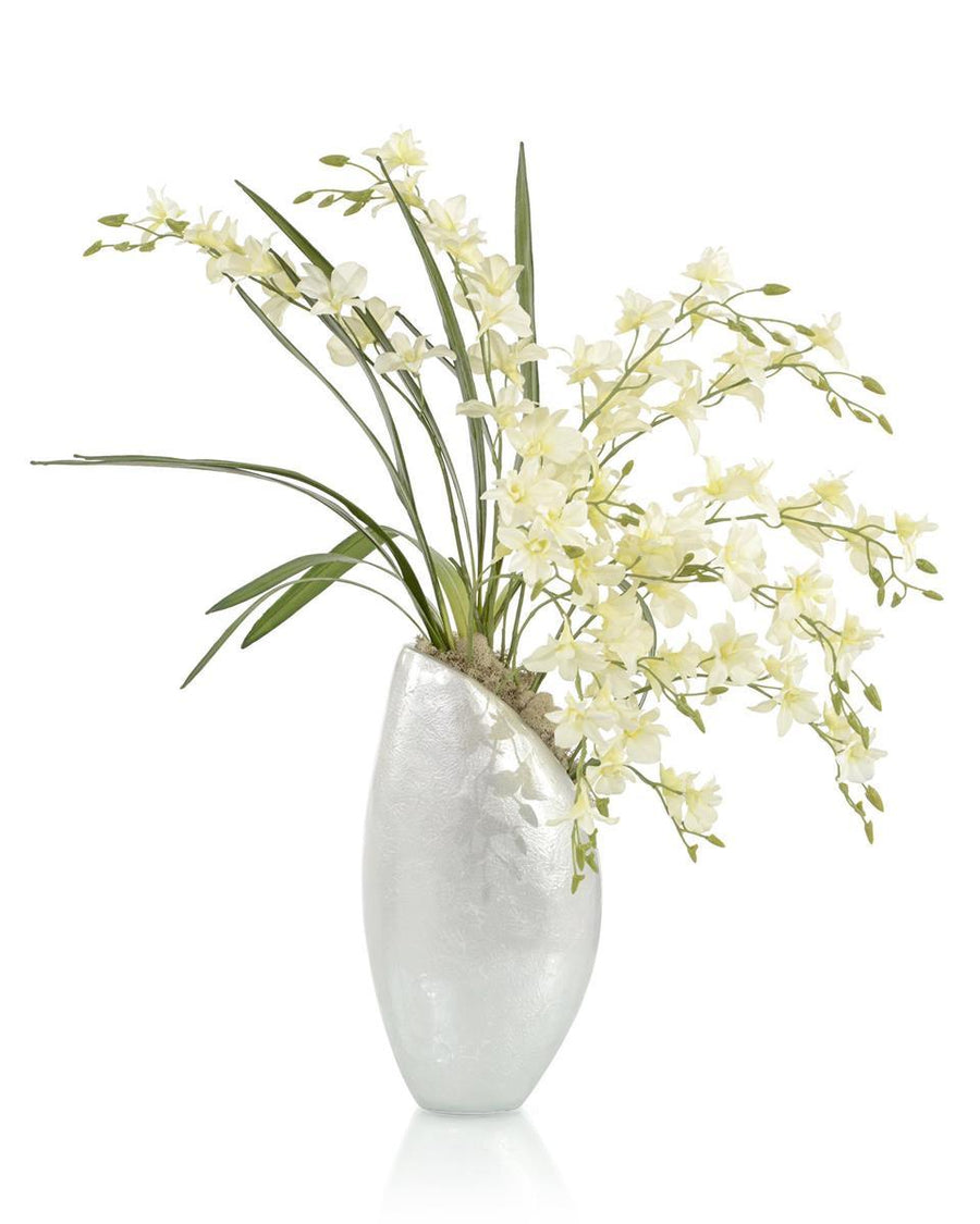 Dendrobium Pearls - Maison Vogue