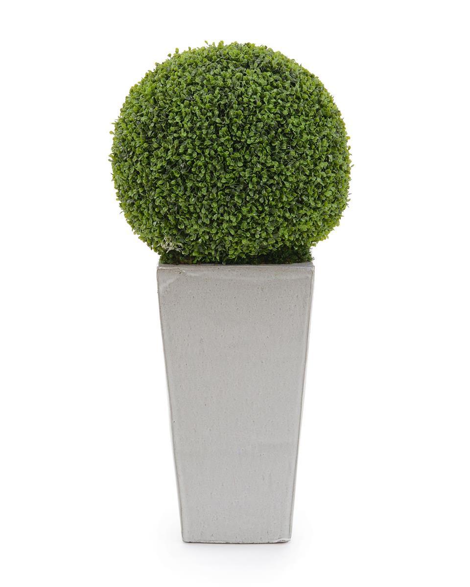Boxwood Orb - Maison Vogue