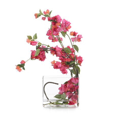 Sweet Bougainvillea - Maison Vogue