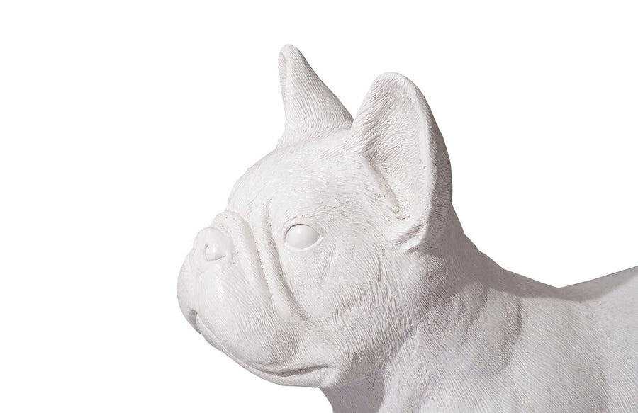 French Bulldog Gel Coat White - Maison Vogue