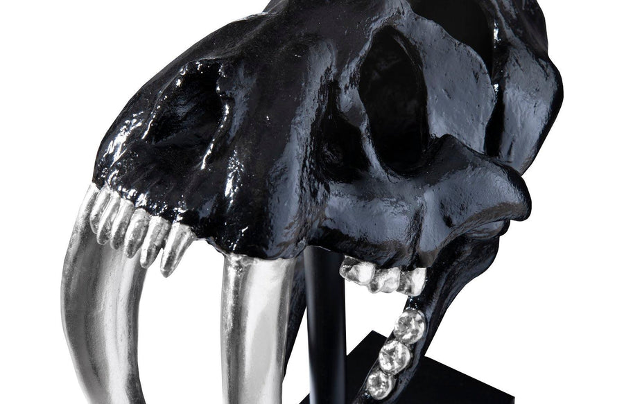 Saber Tooth Tiger Skull Black - Maison Vogue