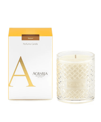 Balsam Perfume Candle - Maison Vogue