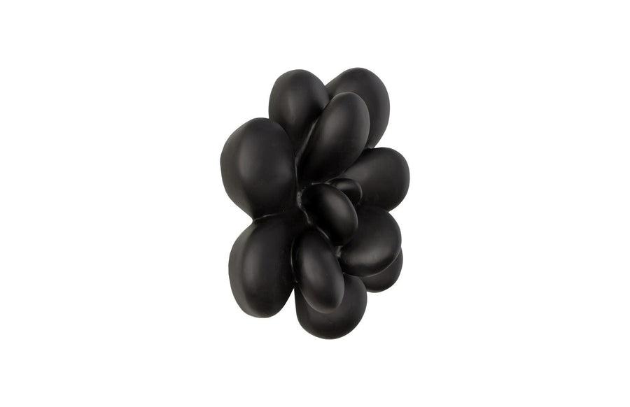 Oviferum Smooth Black Succulent Wall Art - Maison Vogue