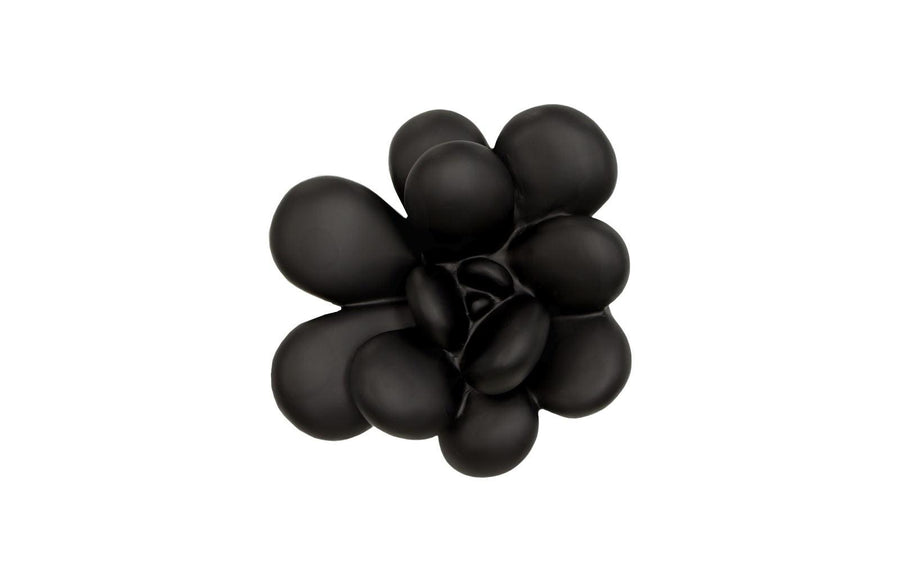 Oviferum Smooth Black Succulent Wall Art - Maison Vogue