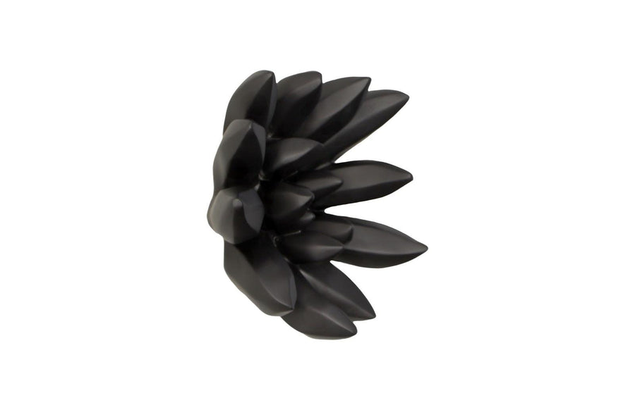 Compactum Smooth Black Succulent Wall Art - Maison Vogue